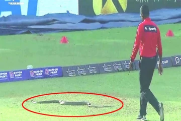 இலங்கையில் விளையாட்டு மைதானத்தில் நுழைந்த பாம்பு: வெளியான வீடியோ