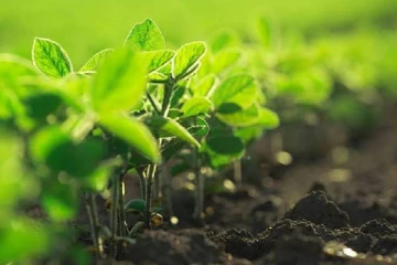 இலங்கையில் இயற்கை விவசாயத்தை அறிமுகப்படுத்த மேற்கத்திய நாடுகள் ஆதரவு