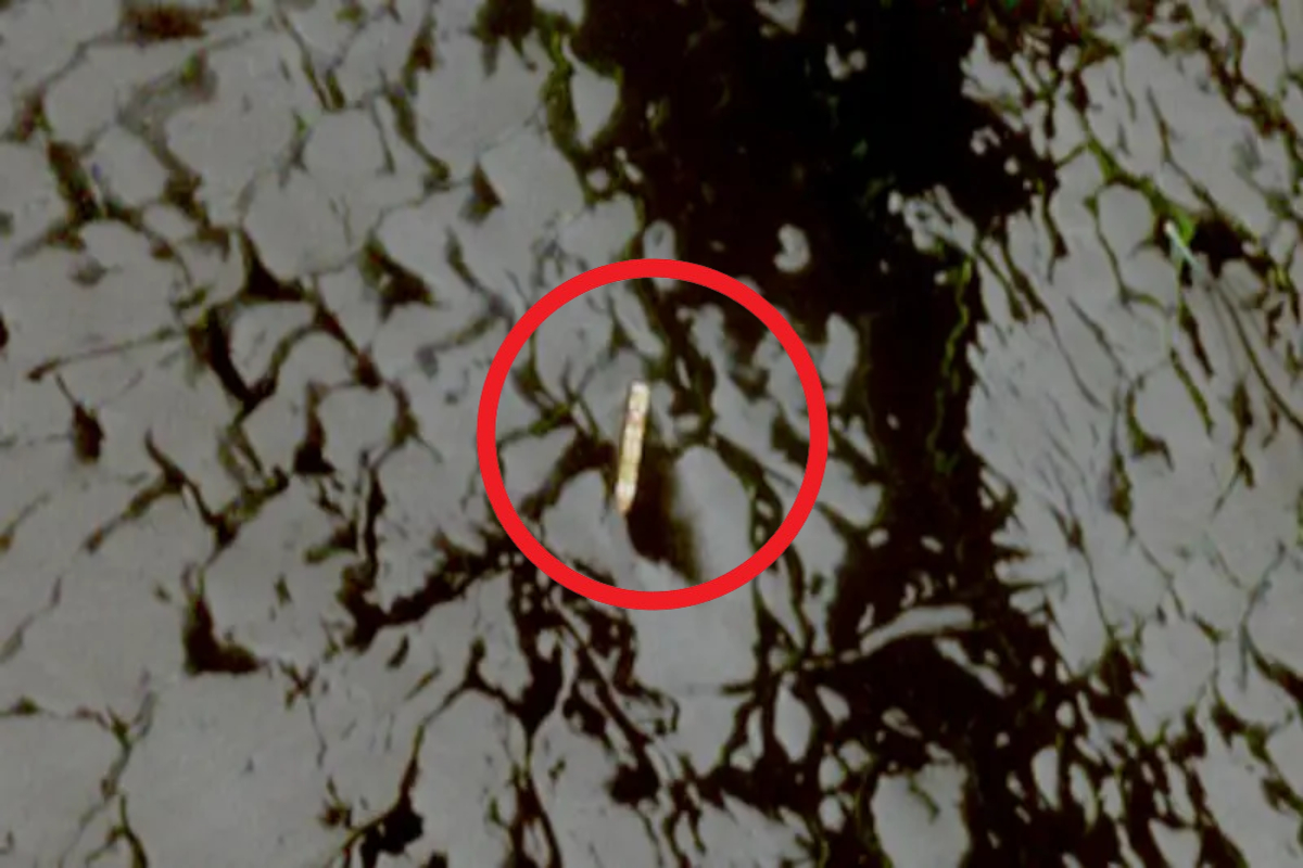 இரண்டு கப்பல்கள் சிறைபிடிப்பு : உறுதிப்படுத்தியது ஈரான் புரட்சிகர காவல் படை | Irgc Navy Confiscates Two Vessels