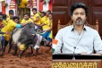 ஜல்லிக்கட்டுக்கு தடை விதிக்க தவெக அரசு முயற்சியா? எதிர்க்கட்சிகள் கேள்வி