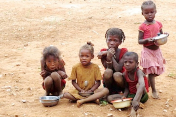 கொடூர பஞ்சம்? வெட்டுக்கிளி பூச்சிகளை சாப்பிட்டு வாழும் மடகாஸ்கர் மக்கள் - நெஞ்சை கனக்கும் புகைப்படம் | World Viral News