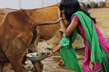 மாட்டு கோமியத்தை குடிக்கிறீங்களா! சித்தவைத்தியர் கூறியது இதுதான்யா! அர்ஜுன் சம்பத்..