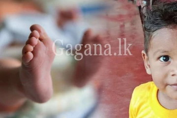 කැරට් කෑල්ලේන් ඩැහැගත් සිඟිත්තා. - (PHOTO)