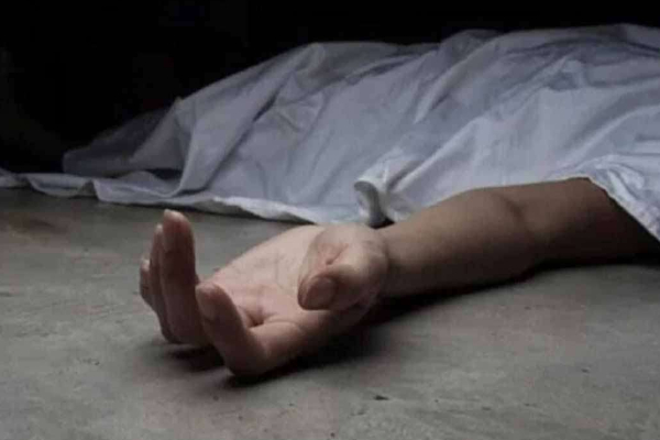 காட்டு யானை தாக்கி வயோதிபப் பெண் பலி! | Elderly Woman Killed By Wild Elephant Attack