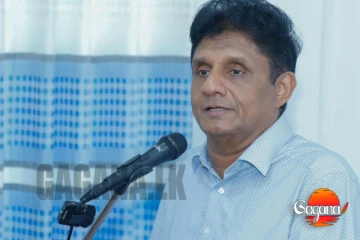 මාලිමා රජයේ ක්‍රියාවලින් රාජ්‍ය සේවකයා අනාථයෙකු බවට - සජිත්ගෙන් චෝදනා