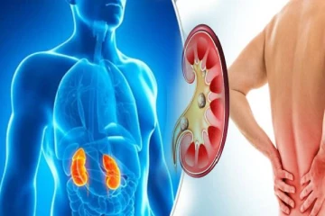 இந்த அறிகுறிகள் இருக்கா? அப்போ சிறுநீரகத்துக்கு ஆபத்து நிச்சயம்