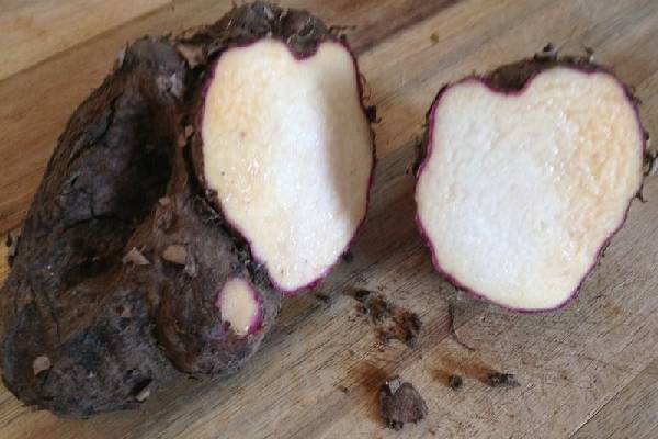 பித்தம் முதல் புற்றுநோய் வரை தீர்வு கொடுக்கும் கருணை கிழங்கு வறுவல்! இப்படி செய்து பாருங்க | Amazing Health Benefits Karunai Kizhangu Varuval