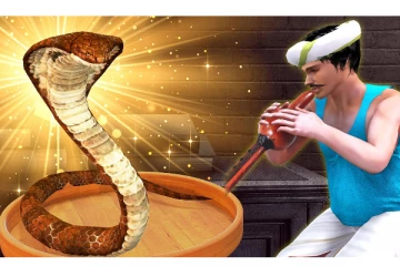 சென்னை மக்கள் கவனத்திற்கு... - பாம்பு பிடிப்பவர்கள் எண்களை வெளியிட்டது மாநகராட்சி