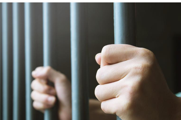 போராட்டத்தில் ஈடுபட்ட மாணவர்கள் பிணையில் | Batticaloa Protest Jaffna Uni Students Arrested