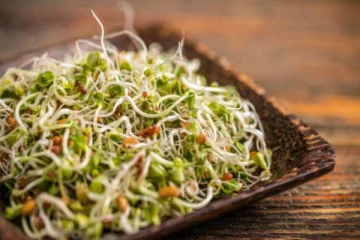 முளை கட்டிய தானியங்கள் சாப்பிட்டால் ஏற்படும் நன்மைகள் என்னென்ன தெரியுமா?