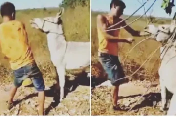 கழுதையை கதறவிட்ட இளைஞர்! பொங்கி எழுந்த கதிரை என்ன செய்தது?