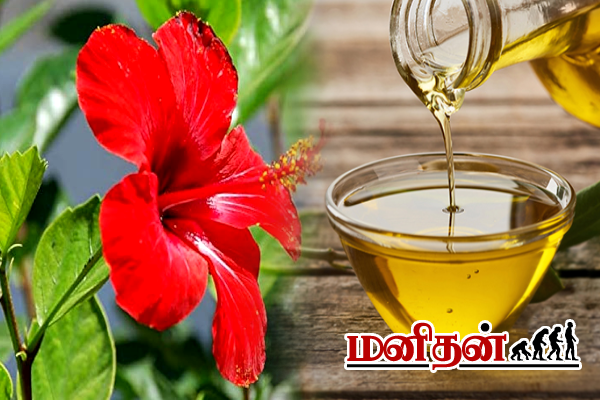 வாரத்திற்கு 2 தடவை போடுங்க... 15 நாட்களில் காடு போன்று முடி வளரும் | Homemade Hair Care Tips In Tamil
