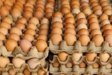 බිත්තර කොළඹට විතරක් ද?.