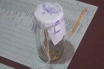 தாயின் 5 பவுன் தங்கசங்கிலியை திருடிய மகன்