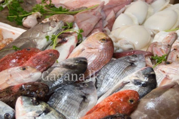 මාළු මිල ගණන් වල විශාල වෙනසක්.