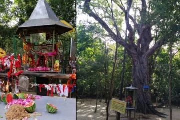 இலங்கையில் பல அபூர்வங்கள் நிறைந்த முருகன் ஆலயம்! சித்தர்கள் காத்து வந்த ரகசியம் என்ன?