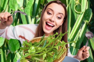 ஆரோக்கியமா இருக்க வேண்டுமா? பிரண்டையை இப்படி சாப்பிடுங்க