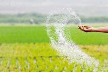 மழையால் பாதிக்கப்பட்ட விவசாயிகளுக்கு வழங்கப்படவுள்ளது இரசாயன உரம்