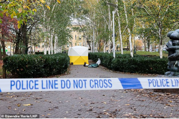 20-year-old-girl-stabbed-in-north-london-park