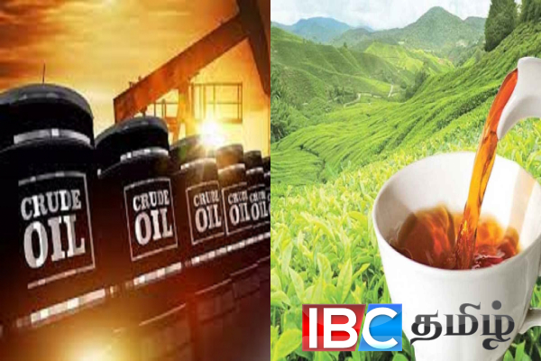 அதிகரித்துவரும் பதற்றம் : ஈரான் - இலங்கை வெளியுறவு அமைச்சர்கள் பேச்சு | Sri Lanka And Iran Strengthen Ties