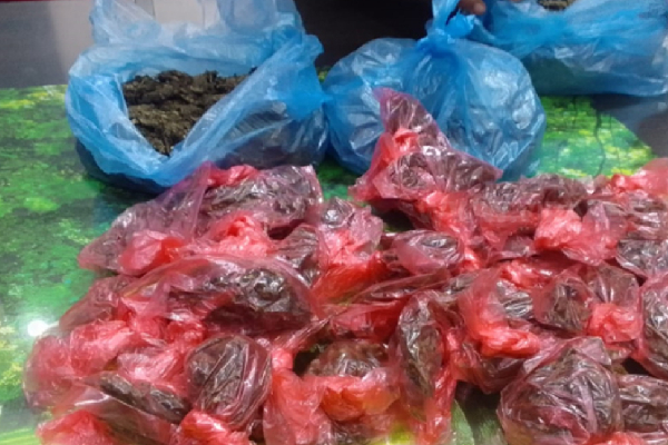 கேரளா கஞ்சாவுடன் ஒருவர் அதிரடி கைது! | A Man Was Arrested With Kerala Ganja