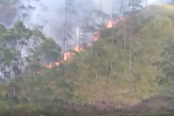 தலவாக்கலை காட்டுப்பகுதியில் பாரிய தீப்பரவல் : பல ஏக்கர்கள் எரிந்து நாசம்