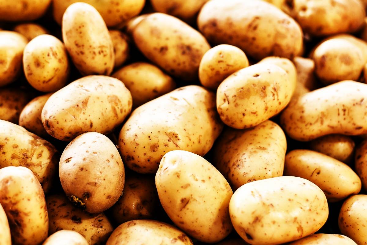 நாட்டில் உருளைக்கிழங்கின் உத்தரவாத விலை சடுதியாக அதிகரிப்பு! | Potato 1Kg Price In Sri Lanka Today