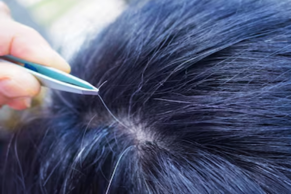 தலையில் இருக்கும் ஒரு நரைமுடியை பிடிங்கினால் மற்ற முடிகளுக்கு என்னாகும்? | Pluck One Grey Hair From Your Head What Happens தலையில் இருக்கும் ஒரு நரைமுடியை பிடிங்கினால் மற்ற முடிகளுக்கு என்னாகும்? | Pluck One Grey Hair From Your Head What Happens