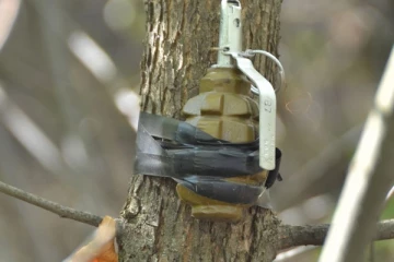 බම්බලපිටියේ බස් නැවතුමක ගසක එල්ලා තිබූ අත්බෝම්බය ගැන තොරතුරු හෙළි වෙයි.