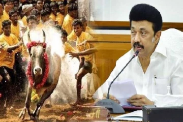 ஜல்லிக்கட்டு போட்டியை தடுக்க நினைக்கும் பீட்டா : பிளான் போடும் முதலமைச்சர் ஸ்டாலின்