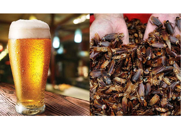 கரப்பான் பூச்சியிலிருந்து தயாராகும் பீர்: முகம்சுழிக்க வைக்கும் புகைப்படம் | Beer In Japan Is Made From This Insect