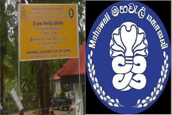 நிமல் சிறிபால டி சில்வாவின் சகோதரிக்கு வவுனியாவில் 25 ஏக்கர் காணி : அம்பலப்படுத்திய தமிழ் எம்.பி | 25 Acres Land Vavuniya Given Nimal Siripa Sister நிமல் சிறிபால டி சில்வாவின் சகோதரிக்கு வவுனியாவில் 25 ஏக்கர் காணி : அம்பலப்படுத்திய தமிழ் எம்.பி | 25 Acres Land Vavuniya Given Nimal Siripa Sister