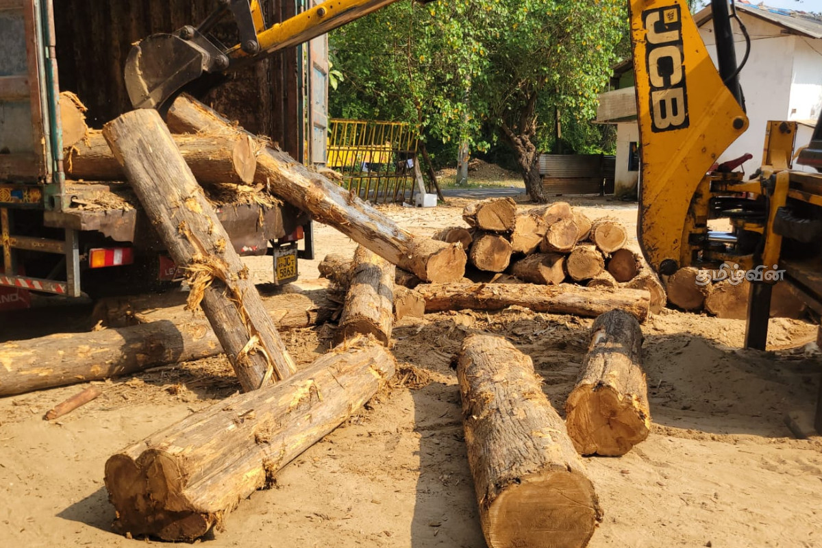 யாழில் சட்டவிரோதமாக கொண்டு வரப்பட்ட மரக் குற்றிகள் மீட்பு | Uck Carrying Illegally Loaded Teak Logs