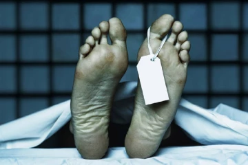 සීගිරියේදී බිහිසුණු වන අලි ප්‍රහාරයක් - නිවසෙන් එළියට බැස්ස 77 හැවිරිදි පුද්ගලයෙකු ජීවිතක්ෂයට