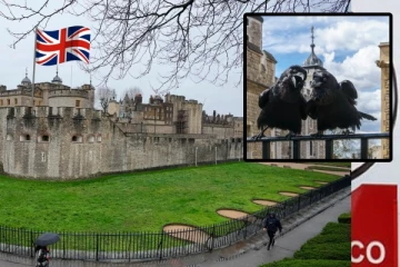 ஏழு காகங்களால் காக்கப்படும் பிரித்தானிய கோட்டை..! 1000 ஆண்டுகளாக தொடரும் இரகசியம்