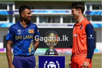 සිංහයෝ අවසන් තරගයත් ජය ගනී - අද තරගයට සිදුවු දේ