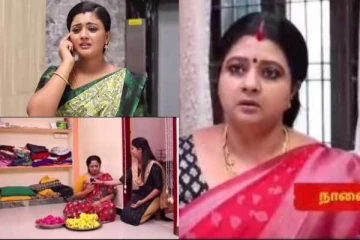 நின்ற சீதா திருமணம், வக்கீல் பரந்தாமன் சொன்ன விஷயம், கேஸ் வாபஸ் வாங்குகிறாரா விஜயா... சிறகடிக்க ஆசை புரொமோ