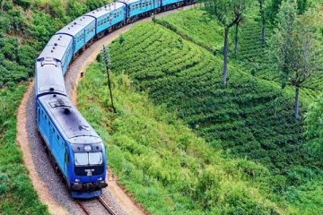 கொழும்பிலிருந்து சென்ற இளைஞனுக்கு நேர்ந்த கதி - செயலிழந்த கால்கள்