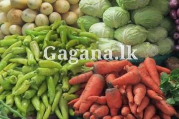 අහස උසට යන එළවළු මිල. ( VIDEO)