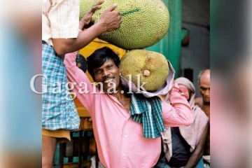 අද විශේෂ දවසක් කියලා ඔබ දැනගෙන සිටියාද..