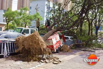 සති අන්තයේ දැඩි සුළඟක් ගැන අනතුරු ඇඟවීමක්!