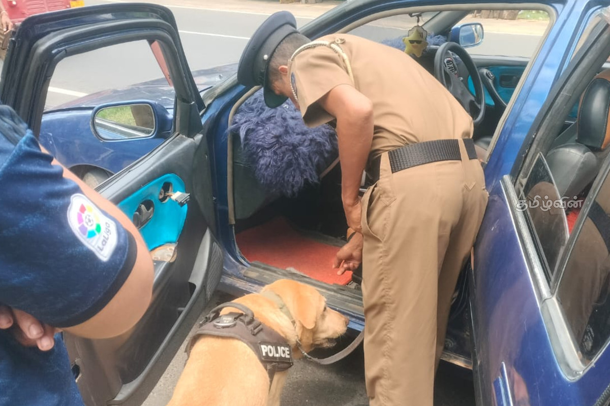 கந்தளாயில் மோப்ப நாய்கள் உதவியுடன் திடீர் வாகன சோதனை..! | Sudden Vehicle Check Help Sniffer Dogs Kandhalai கந்தளாயில் மோப்ப நாய்கள் உதவியுடன் திடீர் வாகன சோதனை..! | Sudden Vehicle Check Help Sniffer Dogs Kandhalai