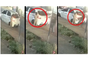 காரில் சாய்ந்த 6 வயது சிறுவன் - காலால் எட்டி உதைத்து கொடூரமாக தாக்கிய இளைஞன் - கேரளாவில் அதிர்ச்சி சம்பவம்...!