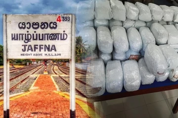 யாழில் 42 மில்லியன் பெறுமதியுடைய கேரள கஞ்சாவுடன் இருவர் கைது