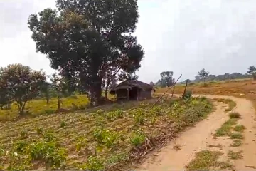 மட்டக்களப்பு மயிலத்தமடுவில் காடுகளுக்கு தீ..! உயிரிழக்கும் மாடுகள்!