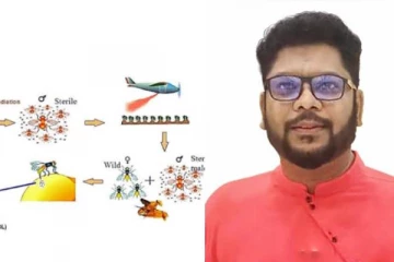 இந்த கொசு தொல்ல தாங்களப்பா...கூடிய சீக்ரமே தீர்வு கெடச்சிருமா?