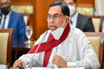 எரிபொருள், எரிவாயு மற்றும் மின்சார நெருக்கடி - பசில் வெளியிட்ட தகவல்