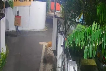 மட்டக்களப்பில் திருட்டு! சிசிரிவி கமராவில் சிக்கிய காட்சிகள்: இரு இளைஞர்கள் கைது