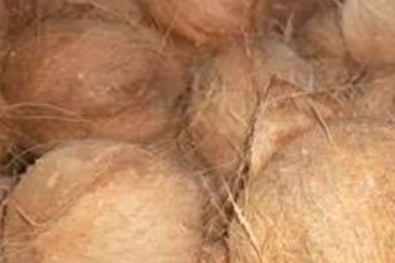 පොලීසියේ උපන්දිනය දා පොලීසියෙම පිරිසක් කල දේ...