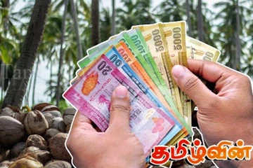 தென்னந்தோப்பு உரிமையாளர்களுக்கு வெளியான மகிழ்ச்சி தகவல்